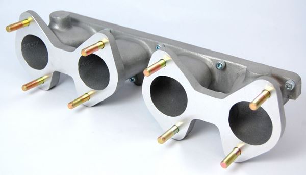 Picture of Weber Manifolds
