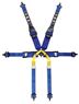 Picture of TRS Newpro Superlight 6 pt Single Seat Formula HANS Harness