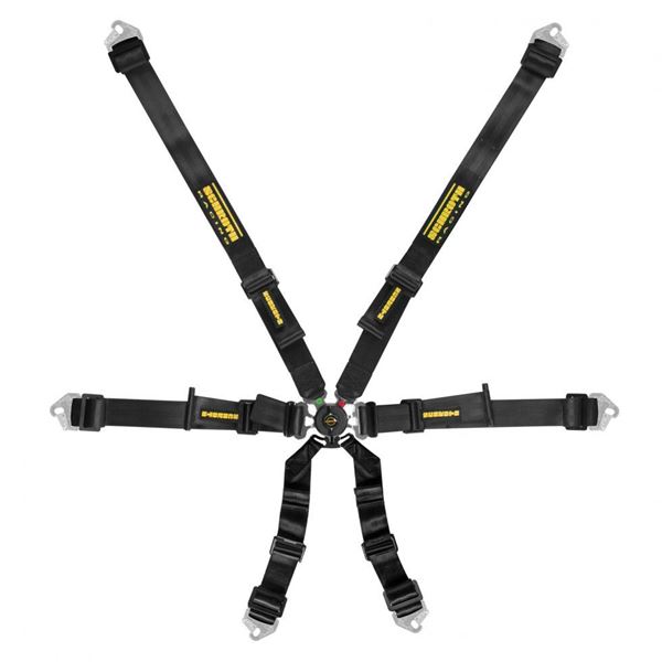 Picture of Schroth Flexi 2x2 FHR / HANS Harness