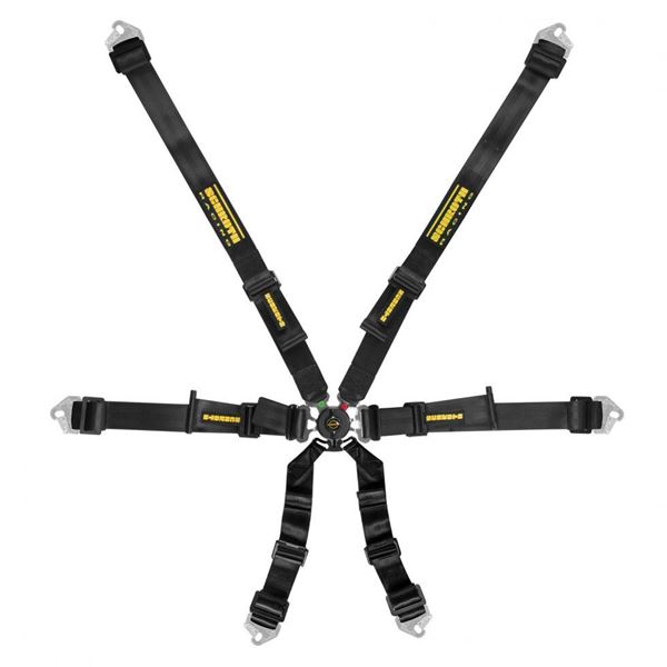 Picture of Schroth Flexi 2x2 FHR / HANS Harness