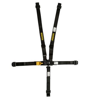 Picture of Schroth SFI 16.1 2x2 Lever Latch Harness